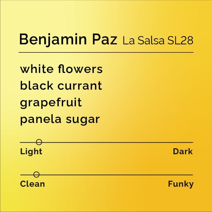 Benjamin Paz - La Salsa SL28