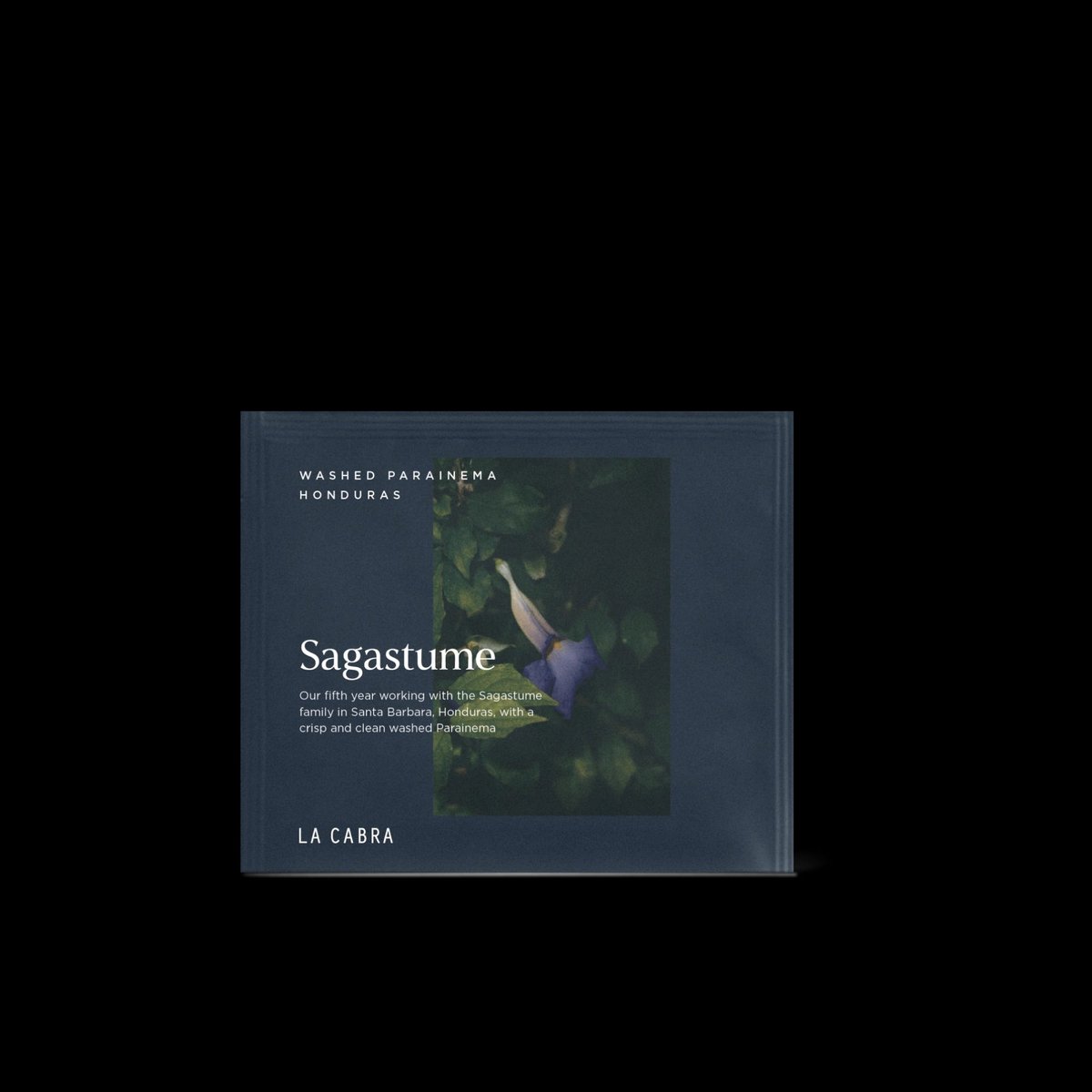 Sagastume Washed - Single Serve
