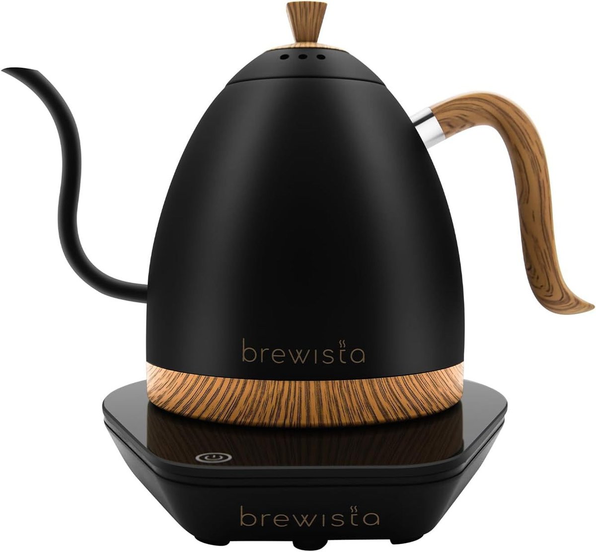 Brewista Artisan Gooseneck Kettle