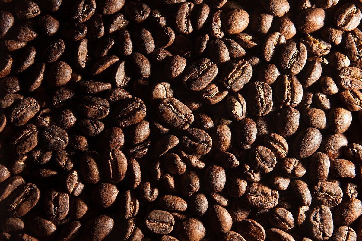The Best Single-Origin Coffees of 2026