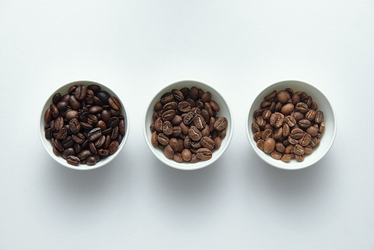 Light vs Dark Roast: What's the Difference?