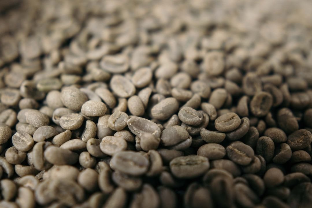 Coffee Defects
